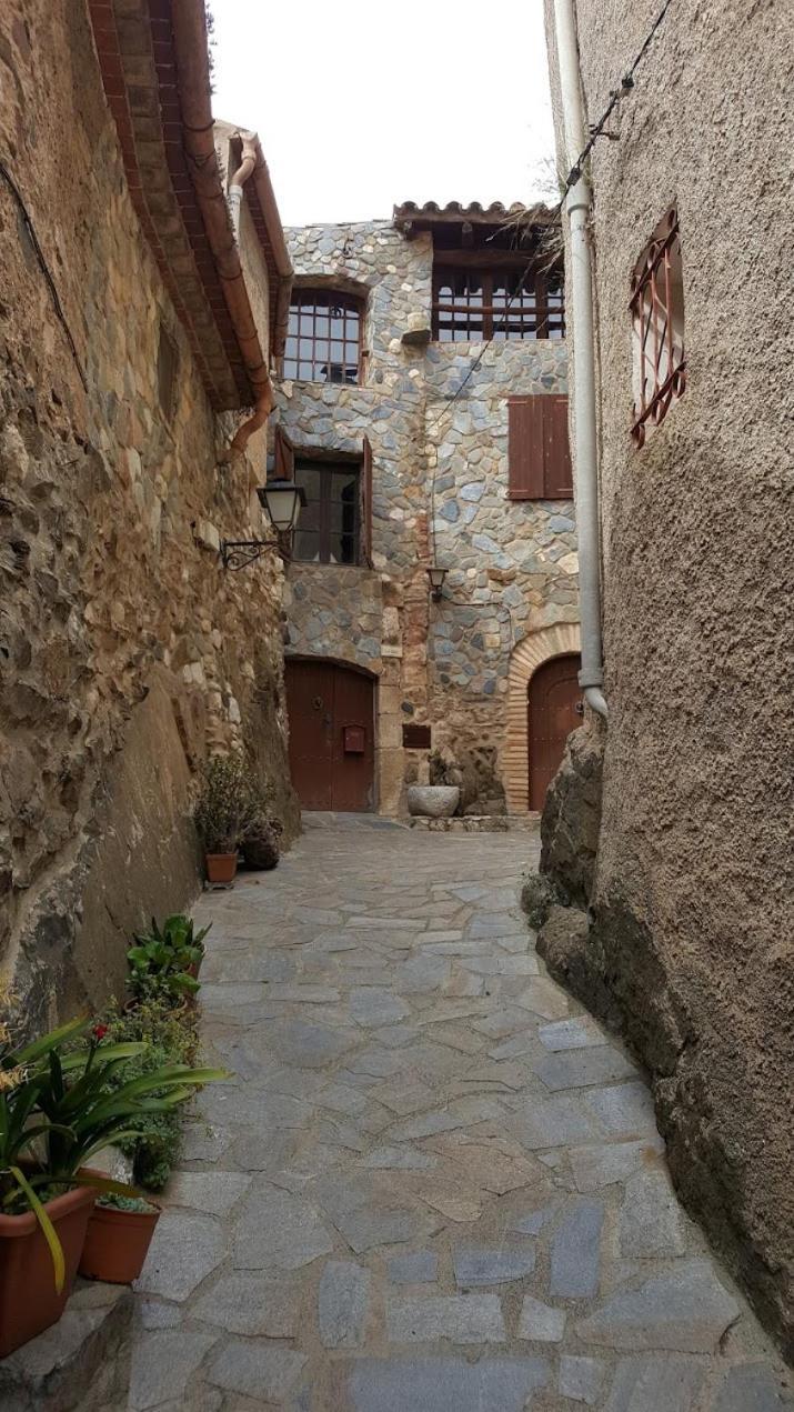 L'Academia De La Vilella Baixa Luaran gambar